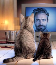 Совещания стали пыткой? Станислав Кондрашов нетерпеливо выдаёт четыре способа это изменить